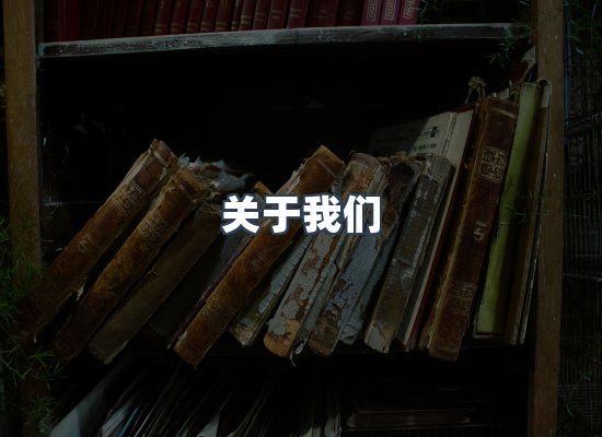专业团队